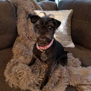 Meet your Posher, Lori